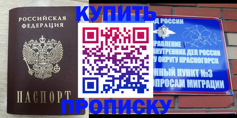 прописка гарантия в Полярных Зорях